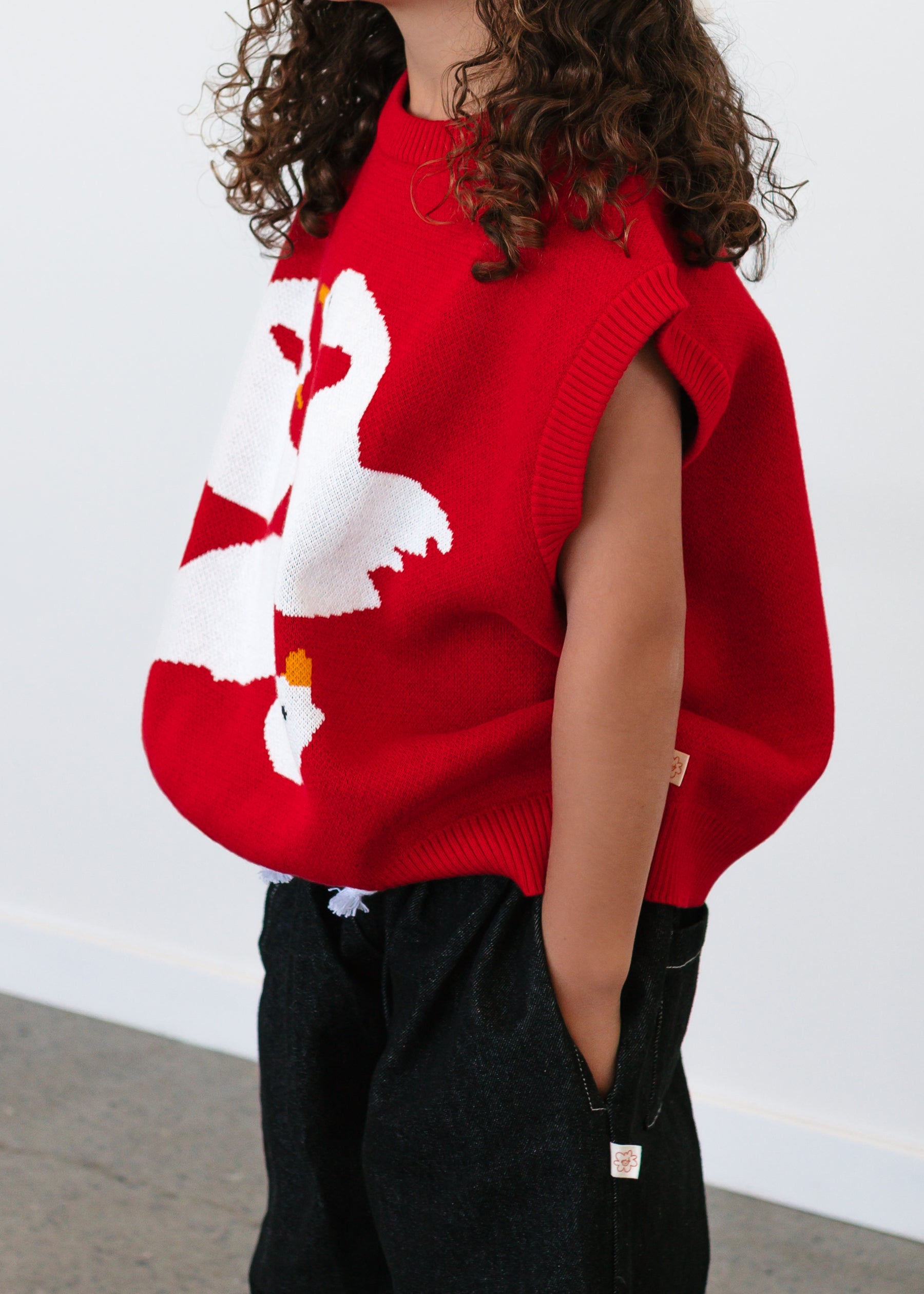 Swanning Around Knit Vest