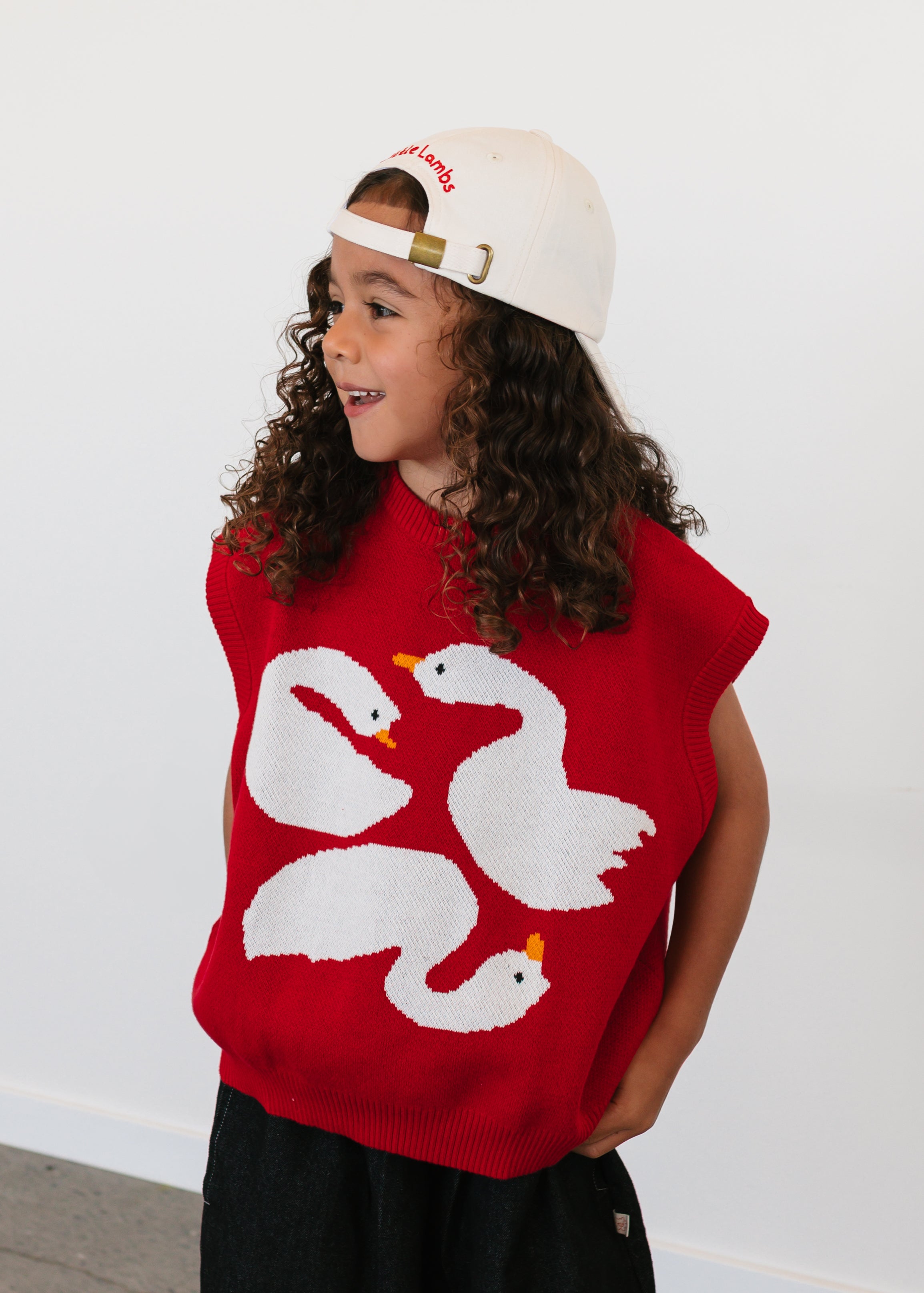 Swanning Around Knit Vest