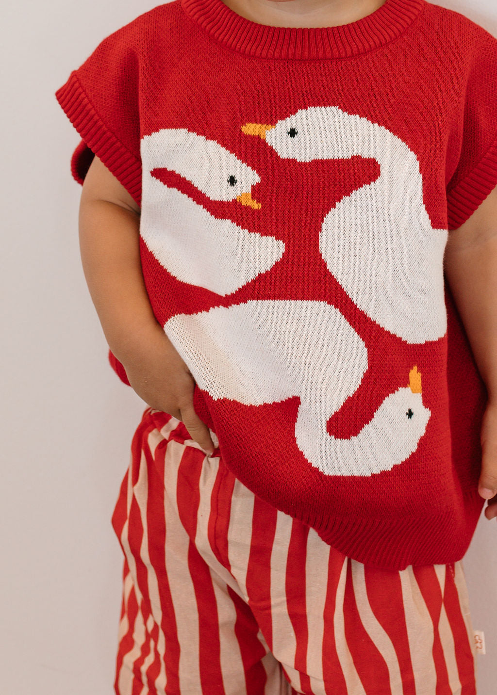 Swanning Around Knit Vest